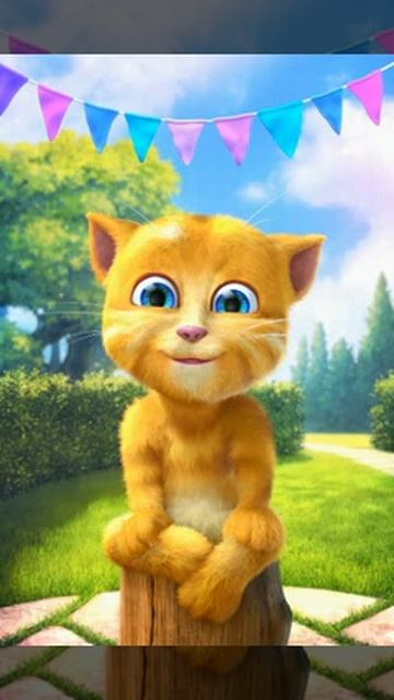 Мой кот рыжик