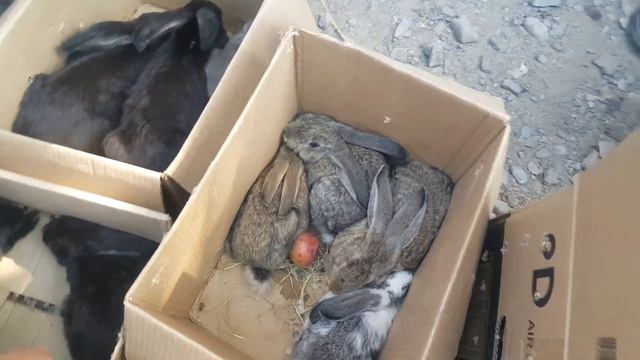 D8828ccecb70acc92a394d679df1a0d2