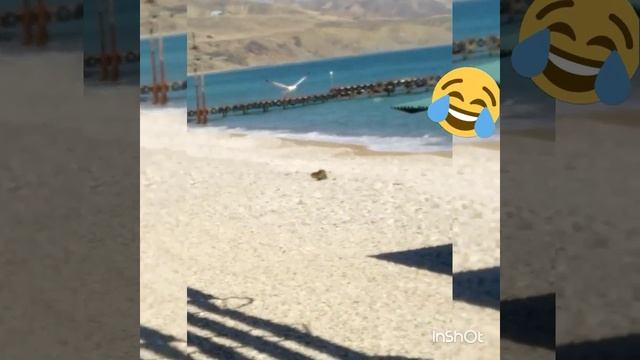 4d73b1eeed457b57e72d8d004a737ffe