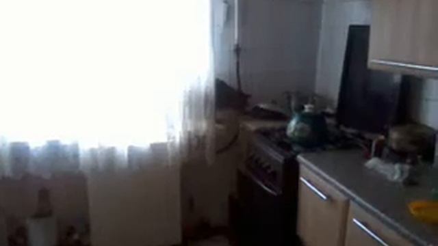 Кот кот который ворует рыбу.