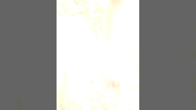 Мистер макс...