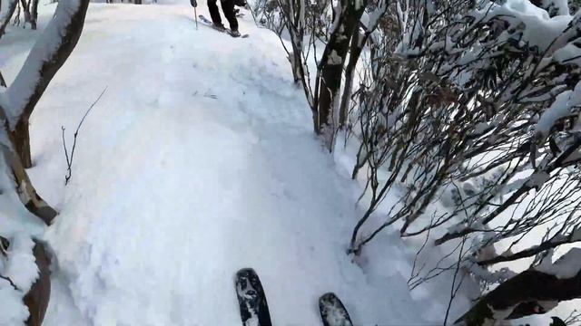 Solo Australian Side-Country Experience At Mt. Hotham