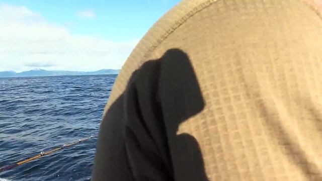 Mooching For Salmon In Southeast Alaska Ketchikan