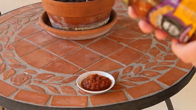 Salsa Saturday Feb 16 2013 - Santito's