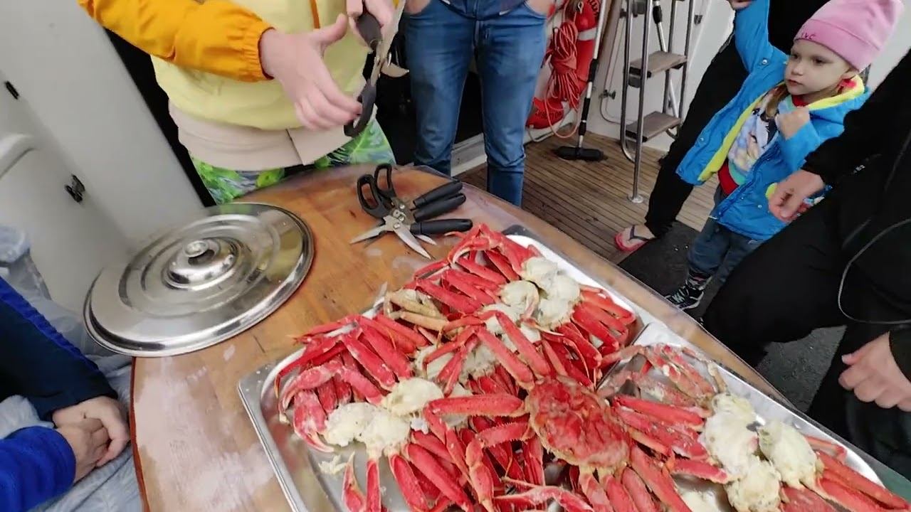 как кушать краба #dima_kruzheva #камчатка #океан  #дима_кружева