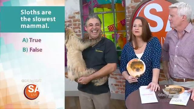 Sloth Trivia With Sienna | SA Live | KSAT 12