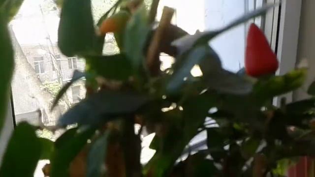 889cc0ae3ad161e95eb6b01d1117739c