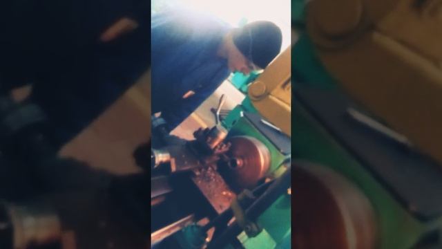 Токарний бобер. 1 серія