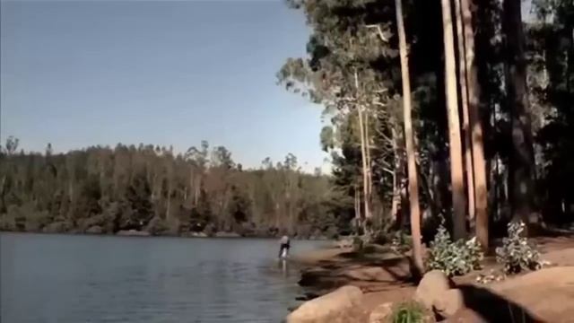 E81e6422e9228f1ef5726df163f4fc56