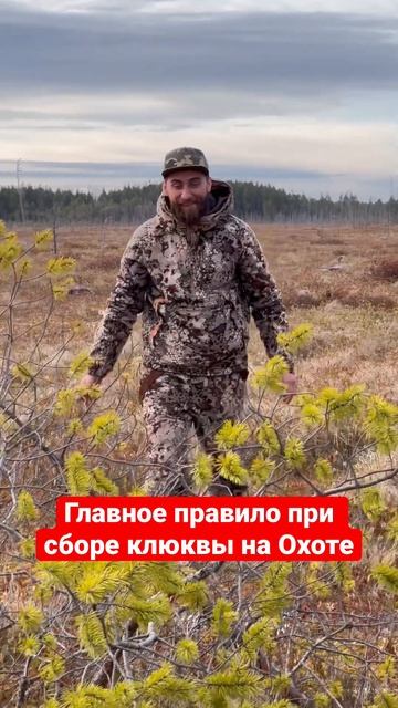 Главное правило при сборе клюквы на Охоте! #охота #клюква #болото #россия