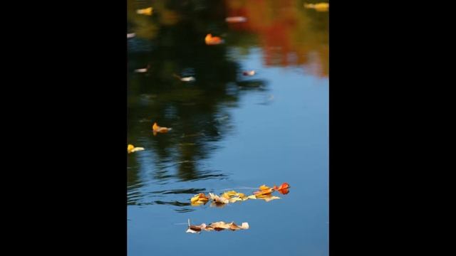 Fall Photographs Slideshow