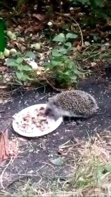 Eb8b4687338f7aa28a0c31d0f5b960e7