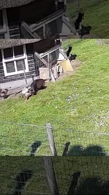 Be413172a5e3796b88e16d3761e02e61