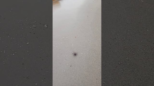 Naligo Po Kami Nina Precious,Alen Sa Dagat Ng Umuulan😛😜😘🥰🥰😍❤️❤️❤️❤️