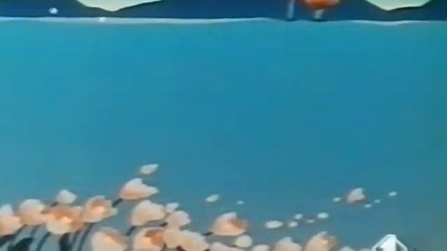 944b46895f2cf2567cb8a98694669ce8