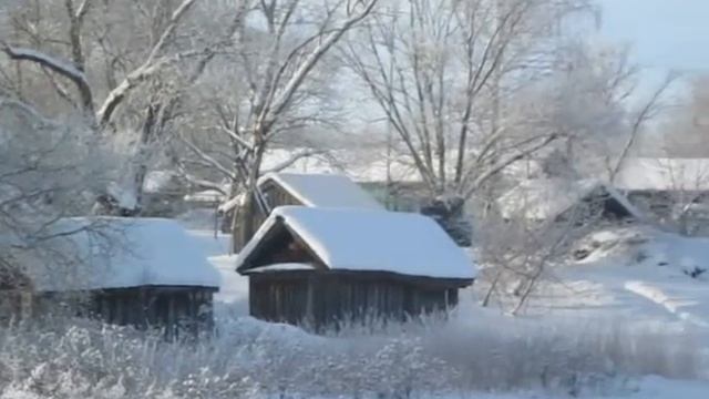 Январьские видеозарисовки с.Неверово 2013