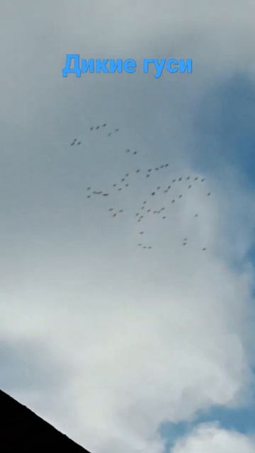 9035f82bb37d5ff1949ebd163c080490