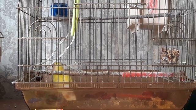 2 апреля 2019 г.