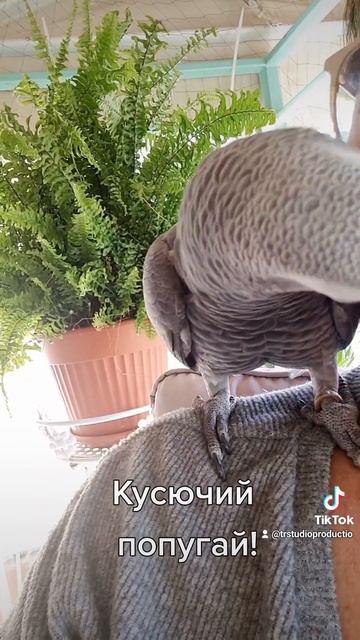 16 декабря 2022 г.