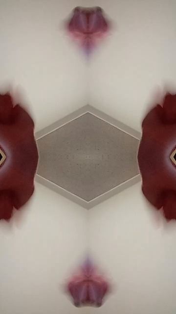 24 апреля 2024 г.