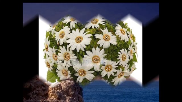 Женщинам к 8 Марта