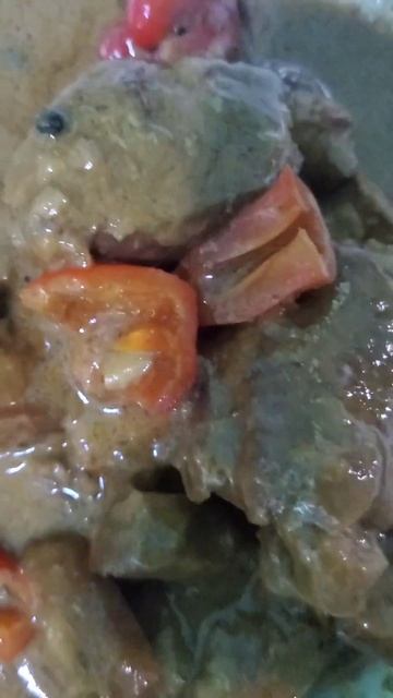 PORK ADOBO WITH COCONUT MILK | AKISH RIDERS