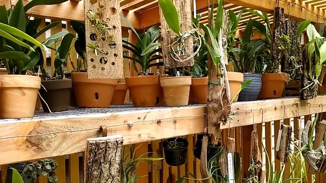 8116c33e2b804d4af405b86d5a9fe723