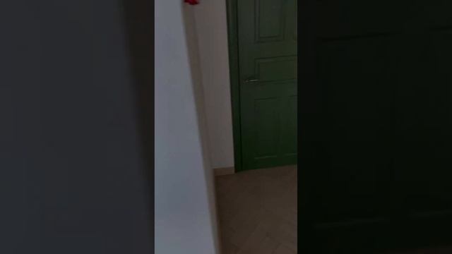 Смарт офис г.Самара ул Мориса Тореза 105А