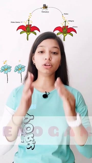 What Is Pollination And What Are The Types Of Pollination | Class 12th Chapter 2 #neet #mbbs #ncert
