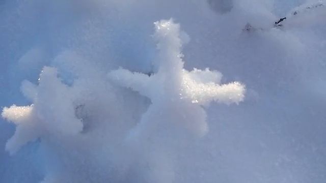 ПОРАЗИТЕЛНАЯ БЕЛОСТЬ МПЕК 4