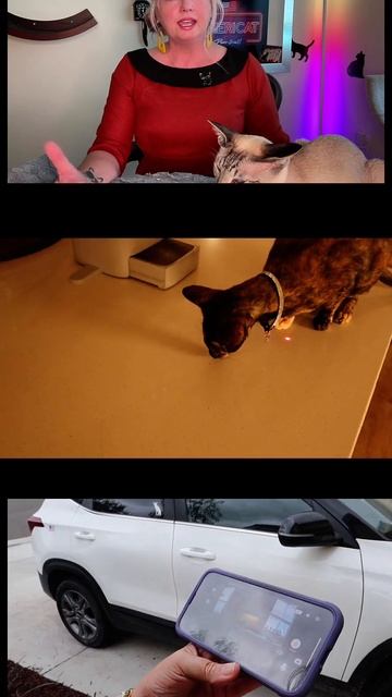 65e461687d22b572542af9ad7cc88b45