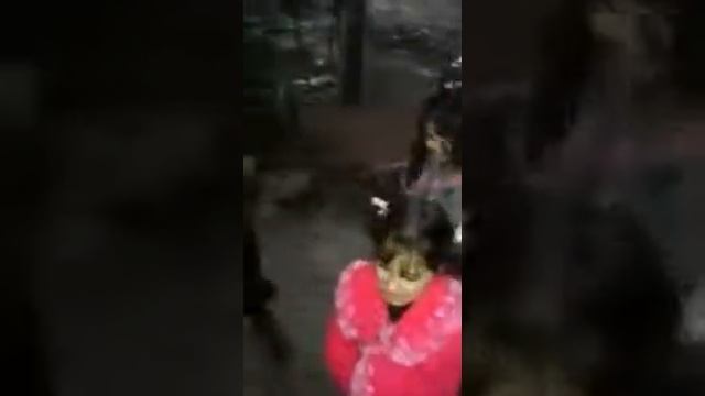 D44aad7be300b758767b1123a3245505