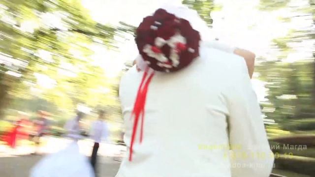 Наша прогулка на свадьбе (Денис & Елена) Svadba-kino.ru