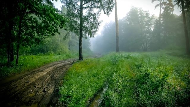 4d13324c22a9c6ecc91b8eaf2915a3c1