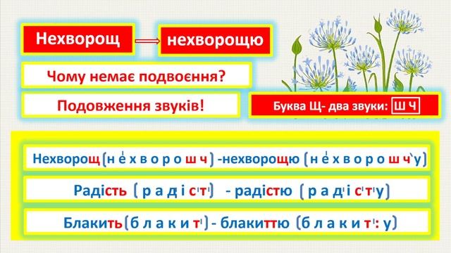 ВІдмінювання іменників ІІІ відміни