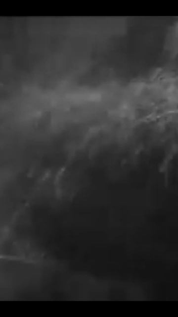 Как собирали урожай пшеницы, сентябрь 1964 г. #shorts #история #пшеница #хлеб #урожай #жатва #видео