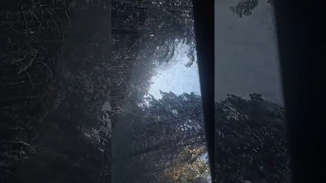 дорога  на озеро Еловое в шале Уют Челябинской области