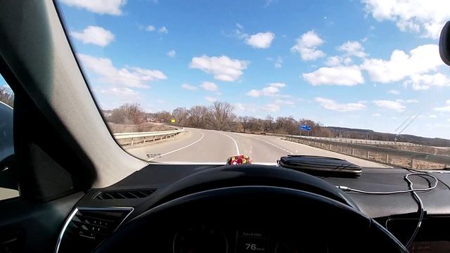 Поездка за чучелами гусей