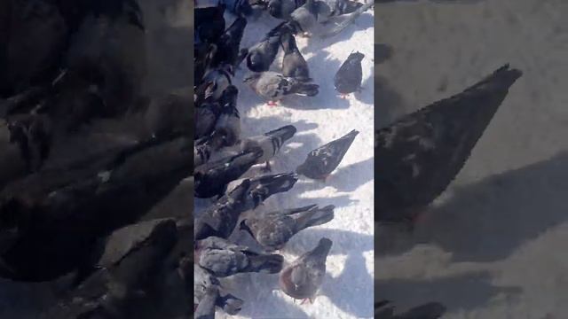 Весна Кузбасс