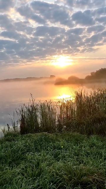 Рыбаки - счастливые люди. Ведь каждое утро им достаются такие прекрасные виды 😍  #рыбалка #природа