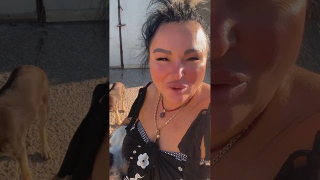 Не видит моя мама. Утро. Дом.Работа