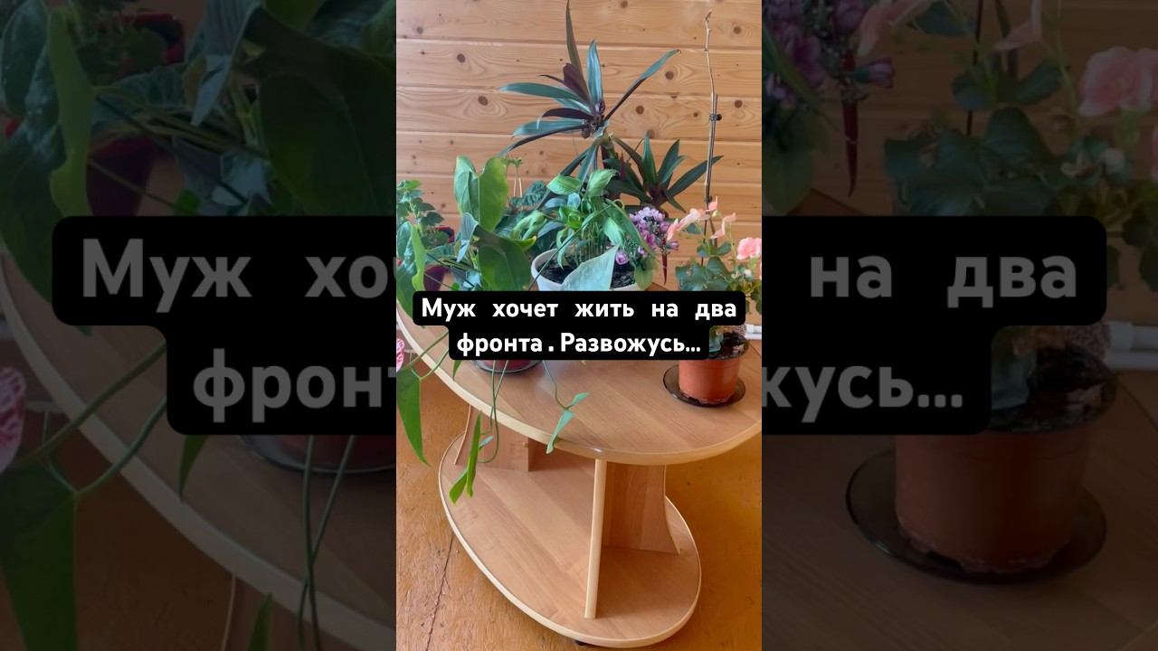 История с форума ❤️ #истории #рецепты #историиизжизни #история #историяизжизни #историилюбви