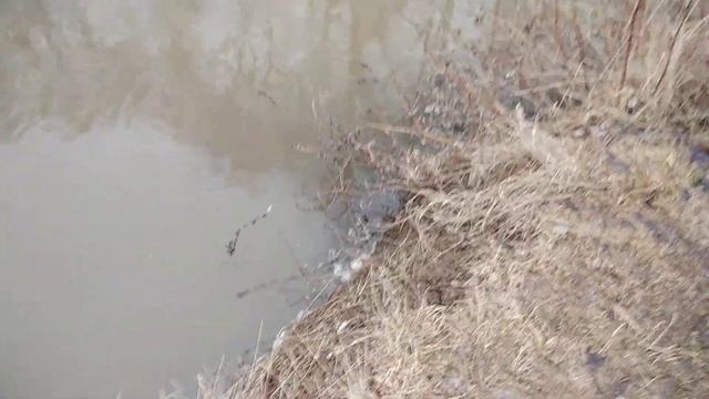 Видное. Разлив р.Битца. ч.11