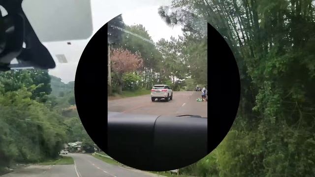 Don Salvador Benedicto Trip