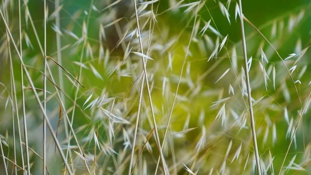 Мама плакала, когда узнала, что РЫСЬ сделала с ее ребенком!