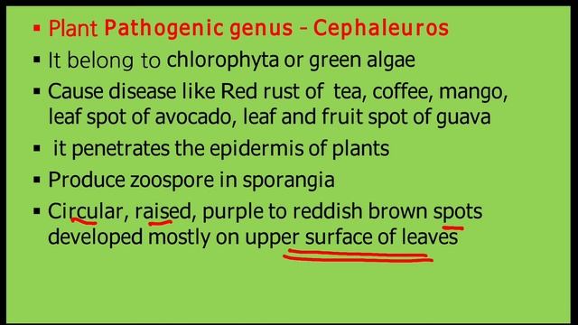 17fa19bc0b80ba494c138162918323e8