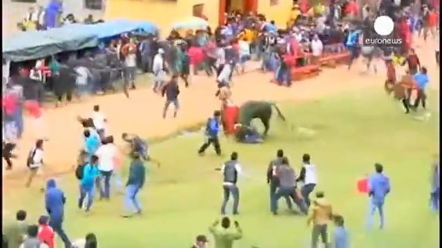 Перу: бики ранять людей