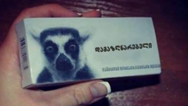 Prikoli - Damadzgnarebeli, პრიკოლი - დამადზგნარებელი