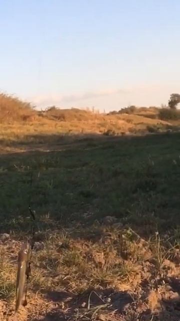 D65da02558d2b0eb3321807a462a6569