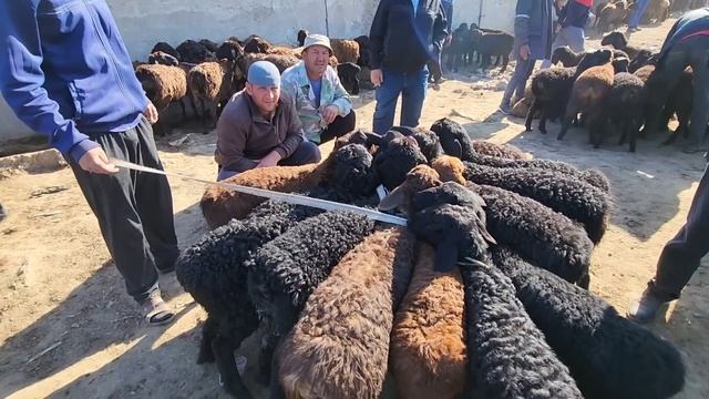 Ddb529d3c925f7ff780d36440a5ab2e8